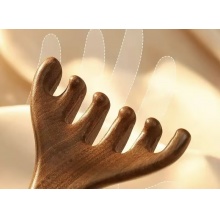 六爪帶把鹿角按摩梳