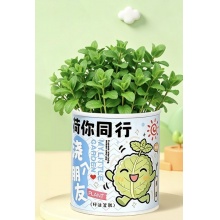  易拉罐盆栽