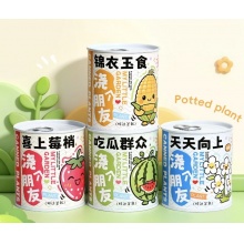  易拉罐盆栽